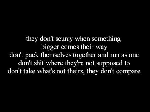RATS PEARL JAM LYRICS