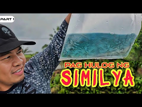 P1-Paghulog ng Similya ng Isda sa Palaisdaan - EP1100