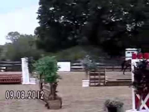 Jackson sep 8 horseshow