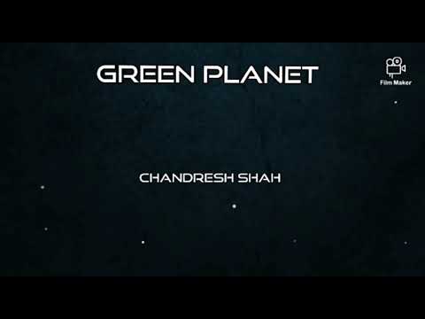 Stray cat maternal instinct / relocating kitten / five day old kitten/ mother care