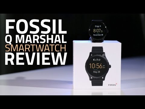 harga fossil q wander