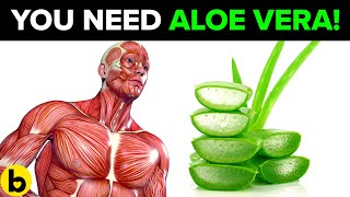 7 Benefits Of Aloe Vera You Need Everyday
