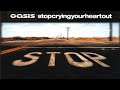 Oasis - Stop Crying Your Heart Out (Torisutan Extended)