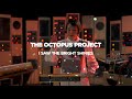 The Octopus Project | Moog Etherwave