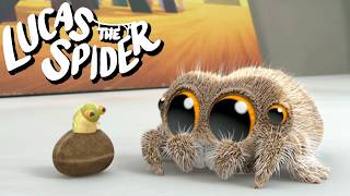 A New Jumping Friend | Lucas the Spider