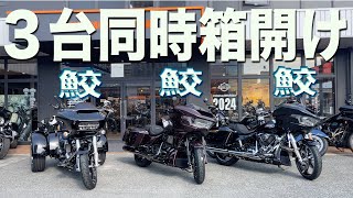 【シャーク】圧巻の3台同時箱開け