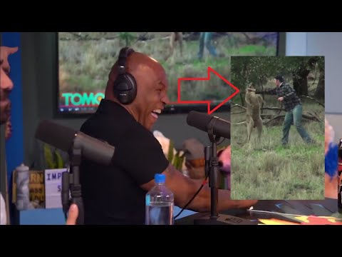 Mike Tyson reacts to man punching Kangaroo