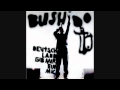 Bushido - Träume im Dunkeln (Live) (HD) 