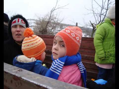 cicu vasilica dunareni