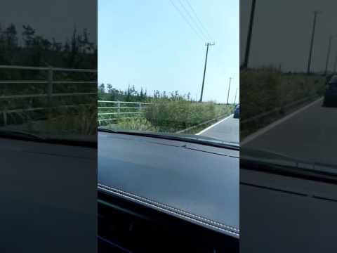 Tokyo Olympic 2020 surfing meeting places road