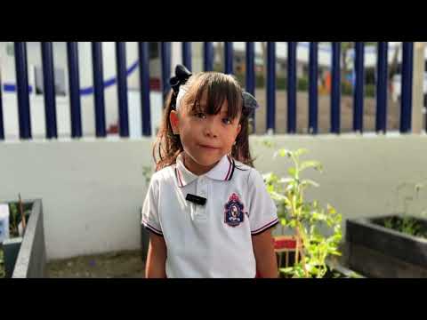 Vídeo Colegio Champal