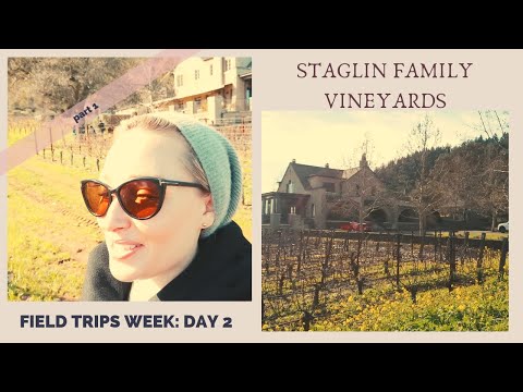 download lagu mp3 mp4 Field Trip Wine, download lagu Field Trip Wine gratis, unduh video klip Field Trip Wine