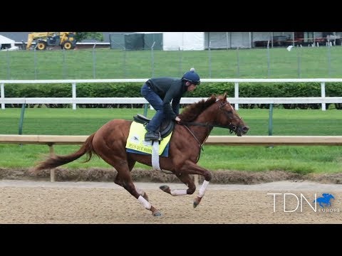 UAE Derby Winner Plus Que Parfait and his trainer Brendan Walsh
