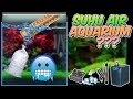 Suhu Ideal Aquarium Ikan Hias Tawar