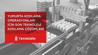 Yumurta kodlama operasyonları için son teknoloji kodlama çözümleri teknosin.com.