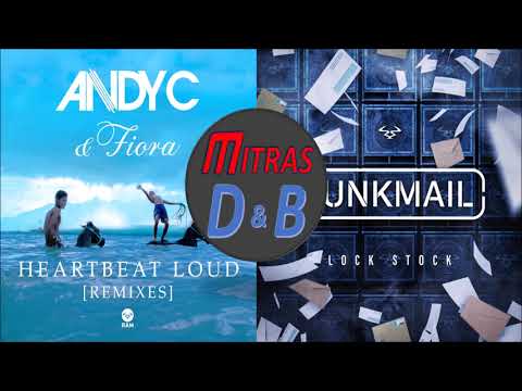 Andy C X Junk Mail - Heartbeat Loud (Andy C VIP)(ft. Fiora) X Lock Stock (Mashup)