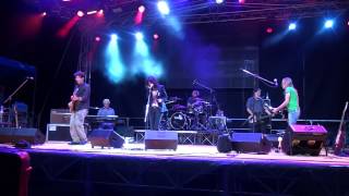 Ex CSI - Guardali negli Occhi, live@Music for Emergency (Cenate Sotto, BG) 16.07.2014