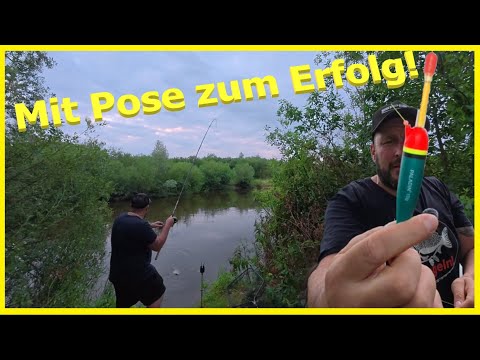 All-round float fishing: coarse fish, eel & predatory fish with the classic float rig!