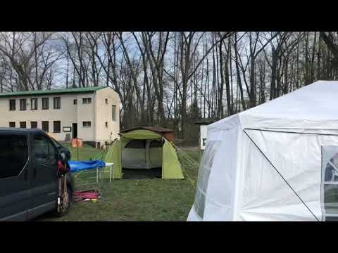 Basenji - Inter Bohemia Sofa Dog Wear 6.4.2019