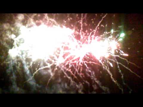 Ziua Bradului comunei Livezi 2016