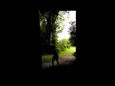 Drive comparison @ goldenrod dgc hole 4