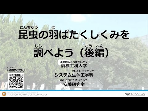 【オンラインこども科学教室】昆虫の羽ばたくしくみを調べよう（後編）【２０２１年度】
