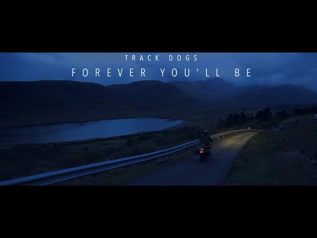  Forever You'll Be - Track Dogs