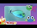 Fish Kids Pets BabyTV