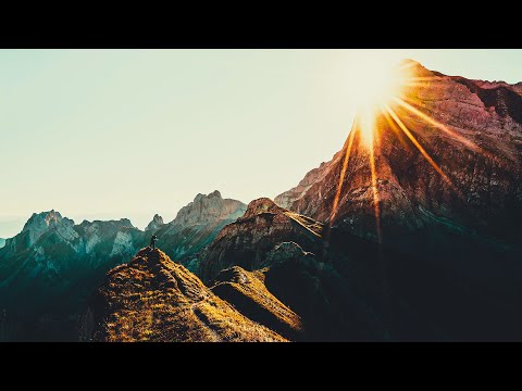 The Ambientalist - In A Better World