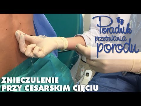 Kulturystyka trening torrent Suszy kałamarnica kulturystyka