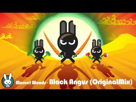 Marcel Woods - Black Angus (Original Mix) [Musical Madness]