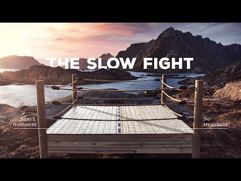 Sioo:x: The Slow Fight