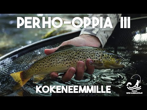 Perho-oppia III -  Kokeneemmille