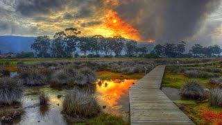 I Can&#39;t Say Goodbye To You - Helen Reddy Lyric Video