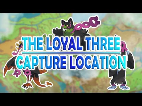 Capture location of The Loyal Three (Fezandipiti, Munkidori, Okidogi) | Pokemon: S&V - The Teal Mask