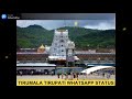 Lord Tirupati Balaji Status Video Tirupati Balaji Status Full Screen Tirupati Balaji Shorts