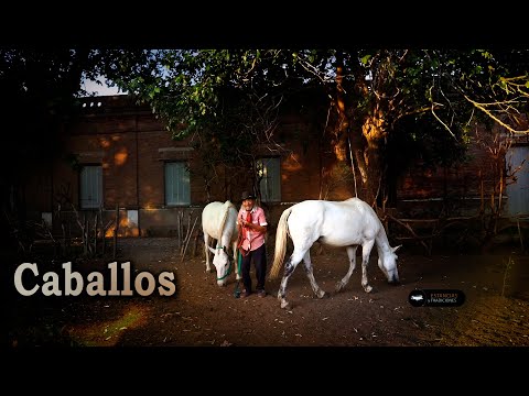 230 Bernardo Leyes (San Luis) - Estancias y Tradiciones