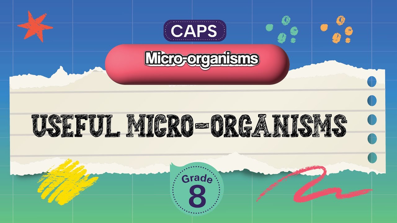 [GRADE 8] Useful micro-organisms