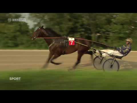 Meisterschaft von Baden - Tosca Victory mit Conrad Lugauer