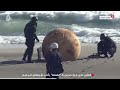 جسم غريب على شواطئ اليابان