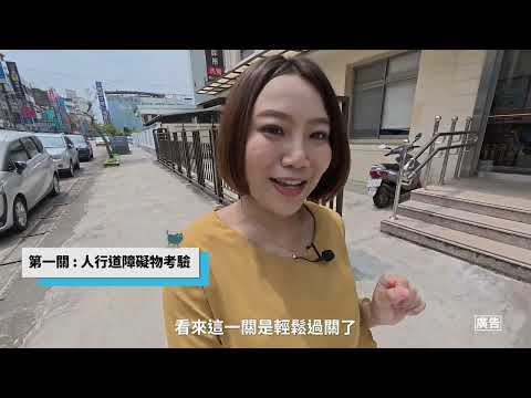 苗栗行人路權實測——安全行，真的行？