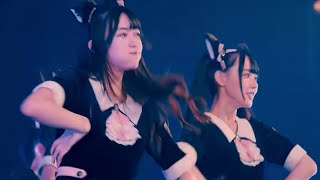 Download lagu Kawaikute Gomen (Sorry for Being Cute)/Takane no Nadeshiko (Live at HEROINES HALLOWEEN, 2023.10.31) mp3 Download lagu Kawaikute Gomen (Sorry for Being Cute)/Takane no Nadeshiko (Live at HEROINES HALLOWEEN, 2023.10.31) mp3