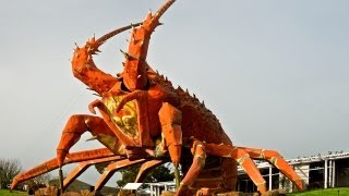 Unbelievable Facts That Are Actually True