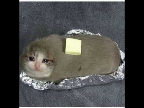 Emotional Titanic Flute [1 HOUR]