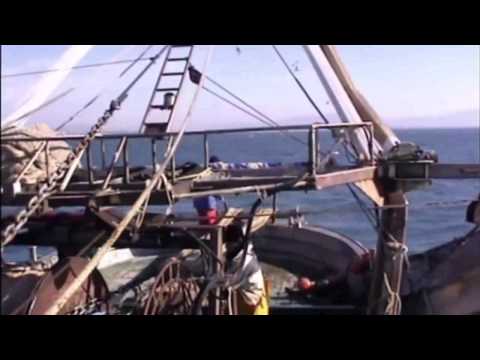 Versenktes Gift - Wie Chemiewaffen das Meer verseuchen