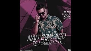 Junior Salles – Sensação do arrocha