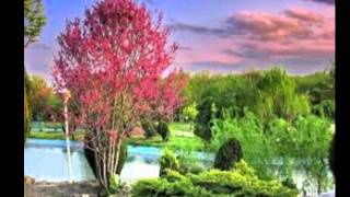 แปลเพลง - Different Season - Johnny Hates Jazz