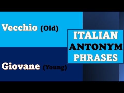 Italian ANTONYMS and OPPOSITE Phrases| Learn Italian Phrases For Travelling!