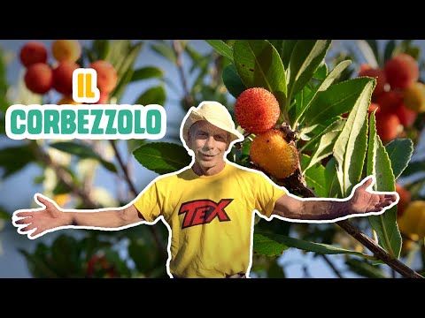 GIOVA LOVES NATURE 🌳 - Ep.32 - Il CORBEZZOLO