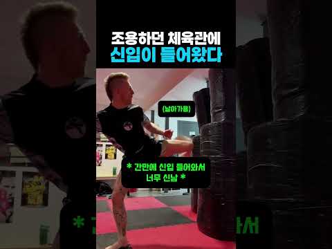 조용하던체육관에 신입이 들어왔다 #무에타이 #킥복싱 #유도 #태권도 #주짓수 #격투기 #ufc #mma #wwe #운동 #스파링 #다이어트